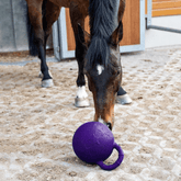 Equine Play Ball: Ultimate Boredom Breaker Toy for Horses - Furbabies Online